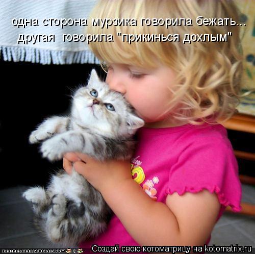Котоматрица: одна сторона мурзика говорила бежать... другая  говорила "прикинься дохлым"