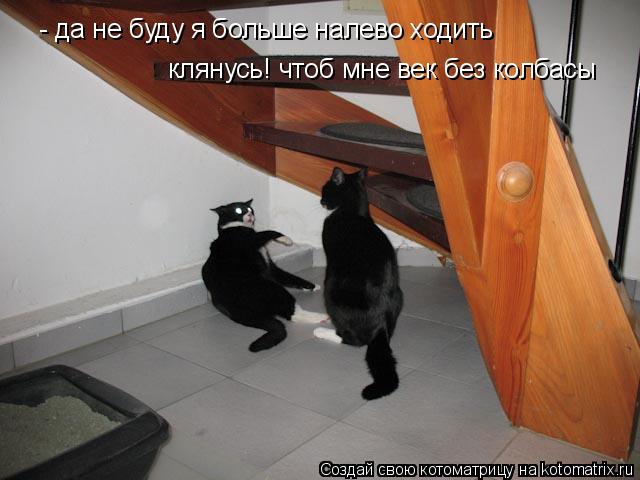 Котоматрица: - да не буду я больше налево ходить клянусь! чтоб мне век без колбасы