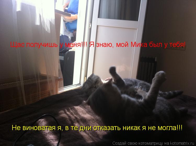 Котоматрица: Щас получишь у меня!!! Я знаю, мой Миха был у тебя! Щас получишь у меня!!! Я знаю, мой Миха был у тебя! Не виноватая я, в те дни отказать никак я не 
