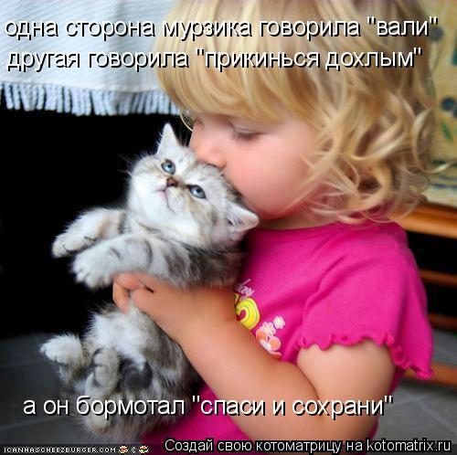 Котоматрица: одна сторона мурзика говорила "вали" другая говорила "прикинься дохлым" а он бормотал "спаси и сохрани"