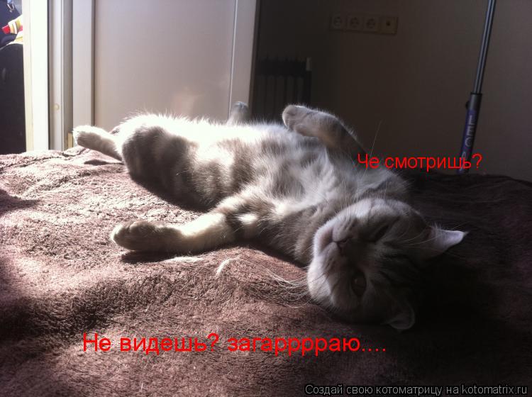 Котоматрица: Че смотришь? Не видешь? загарррраю....