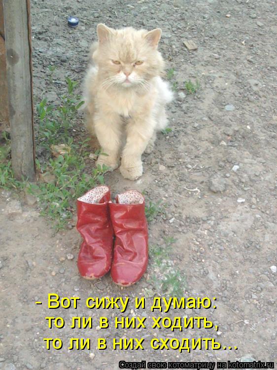 Котоматрица: - Вот сижу и думаю: то ли в них ходить,  то ли в них сходить...