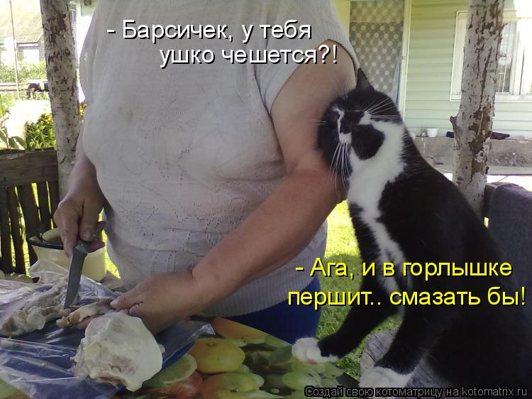 - Барсичек, у тебя ушко чешется?! - Ага, и в горлышке першит.. смазать бы!... Котоматрица: - Барсичек, у тебя ушко чешется?! - Ага, и в горлышке першит.. смазать бы!