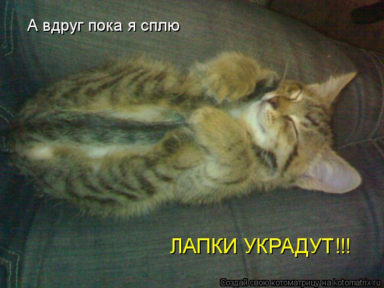 Пока я не увижу своими руками Пока я не увижу своими руками