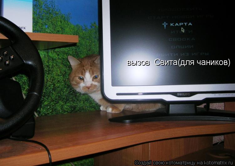 Котоматрица: вызов  Свита(для чаников)