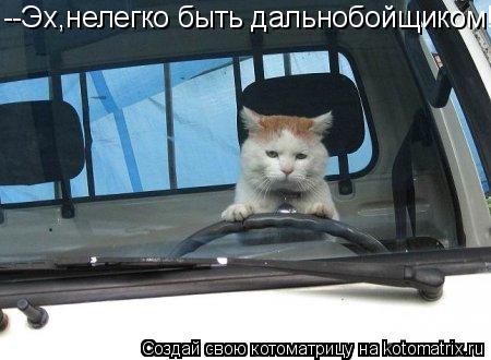 Котоматрица: --Эх,нелегко быть дальнобойщиком!