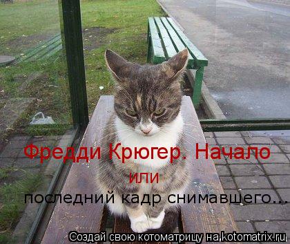 Котоматрица: Фредди Крюгер. Начало или последний кадр снимавшего...