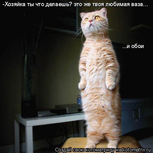 Котоматрица: -Хозяйка ты что делаешь? это же твоя любимая ваза... ...и обои