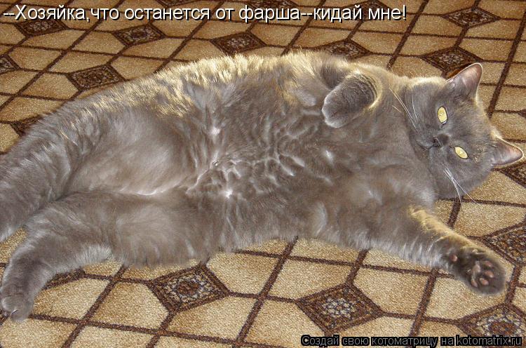 Котоматрица: --Хозяйка,что останется от фарша--кидай мне!