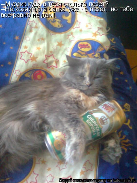 Котоматрица: --Мурзик,куда в тебя столько лезет? --Не,хозяин,эта банка уже не лезет...но тебе всё равно не дам!