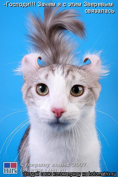 Котоматрица: -Господи!!! Зачем я с этим Зверевым связалась