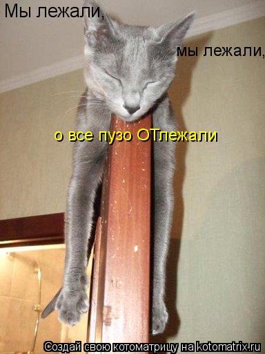 Котоматрица: Мы лежали, мы лежали, о все пузо ОТлежали