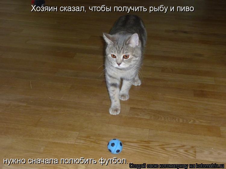 Котоматрица: Хозяин сказал, чтобы получить рыбу и пиво  нужно сначала полюбить футбол...
