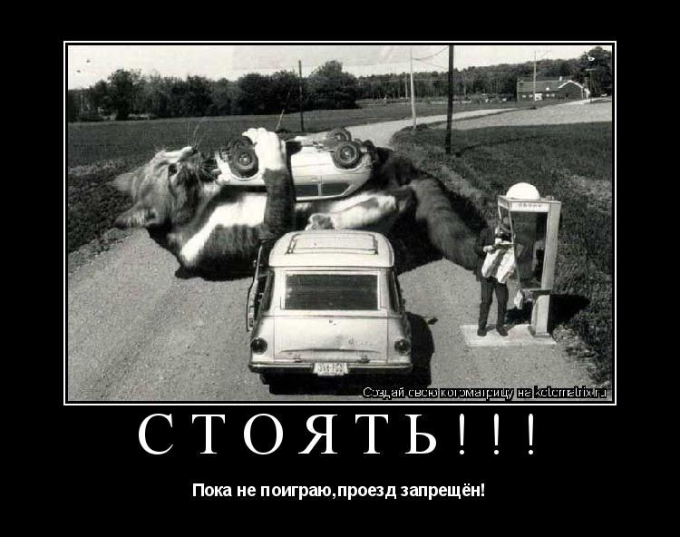 Котоматрица: Стоять!!! Пока не поиграю,проезд запрещён!