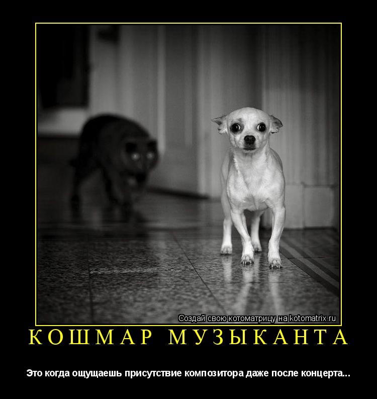 Котоматрица: Кошмар музыканта Это когда ощущаешь присутствие композитора даже после концерта...
