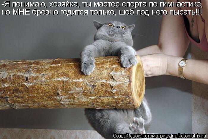 Котоматрица: -Я понимаю, хозяйка, ты мастер спорта по гимнастике, но МНЕ бревно годится только, шоб под него пысать!!!
