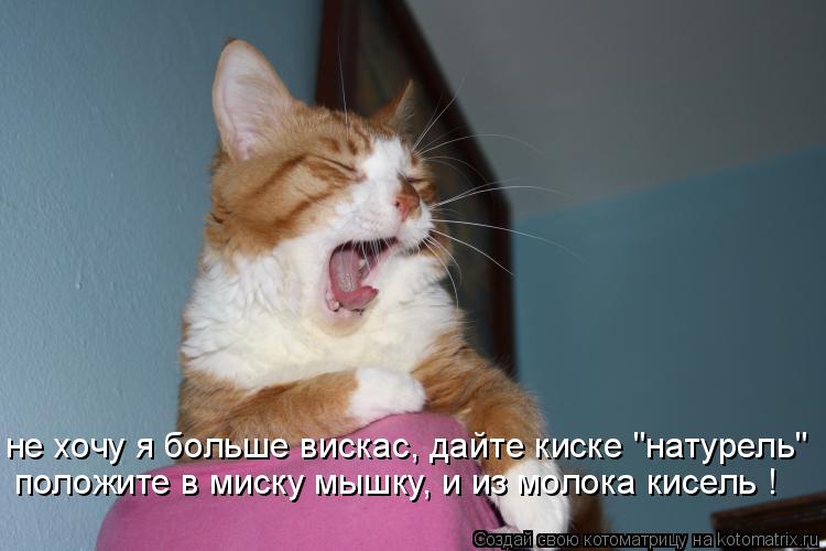 Котоматрица: не хочу я больше вискас, дайте киске "натурель" положите в миску мышку, и из молока кисель !