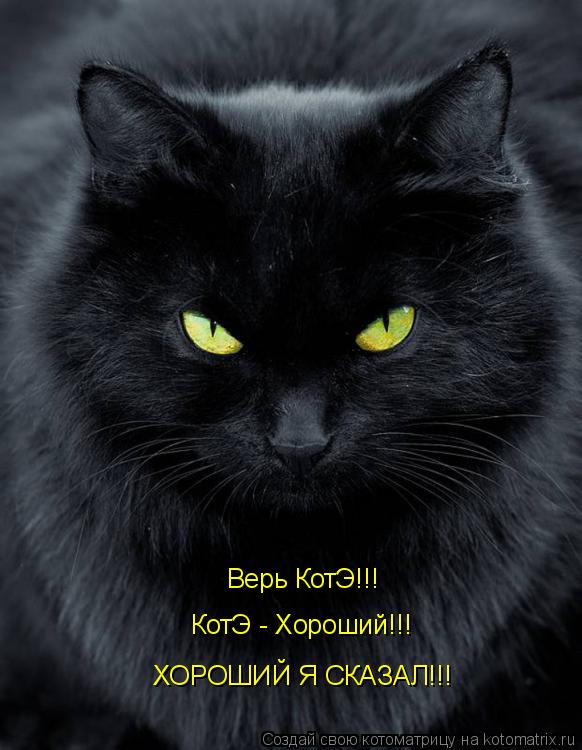 Котоматрица: Верь КотЭ!!! КотЭ - Хороший!!! ХОРОШИЙ Я СКАЗАЛ!!!
