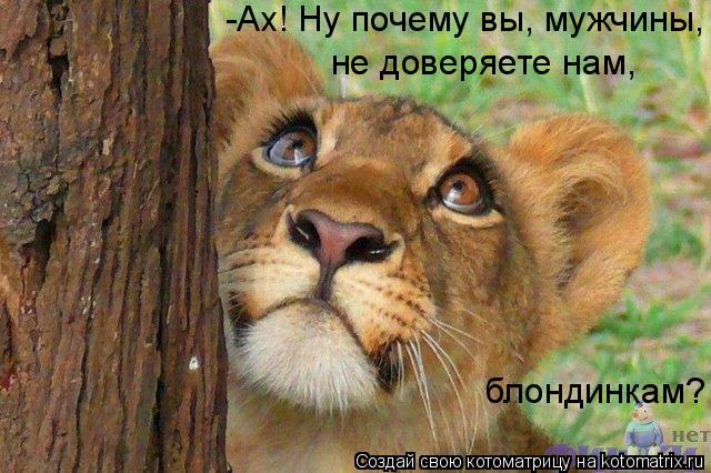 Котоматрица: -Ах! Ну почему вы, мужчины,  не доверяете нам,  блондинкам?