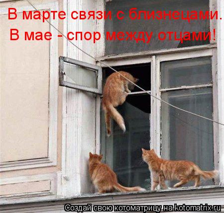 Котоматрица: В марте связи с близнецами. В мае - спор между отцами!