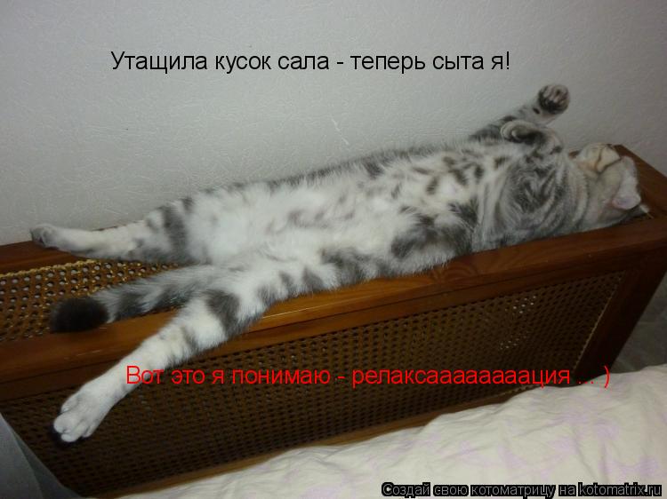 Котоматрица: Утащила кусок сала - теперь сыта я!  Вот это я понимаю - релаксаааааааация ... )