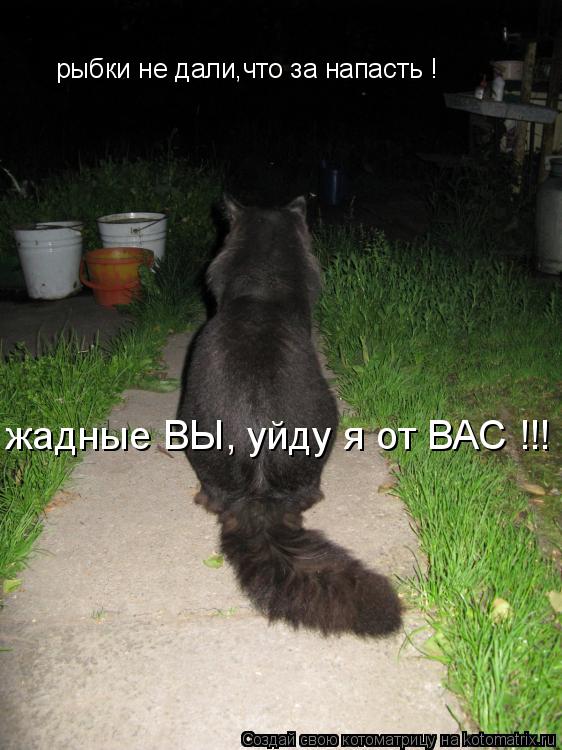 Котоматрица: рыбки не дали,что за напасть ! жадные ВЫ, уйду я от ВАС !!!