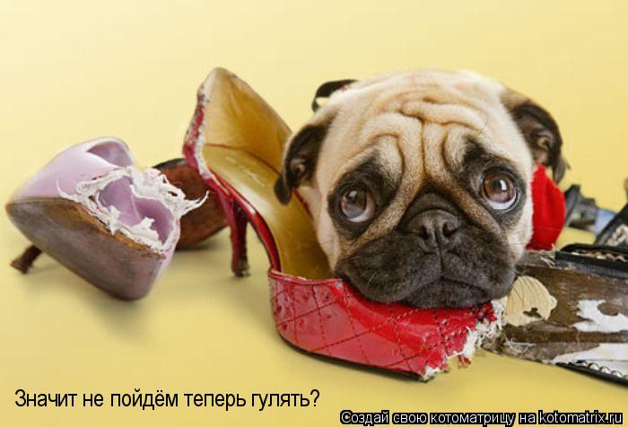 Котоматрица: Значит не пойдём теперь гулять?