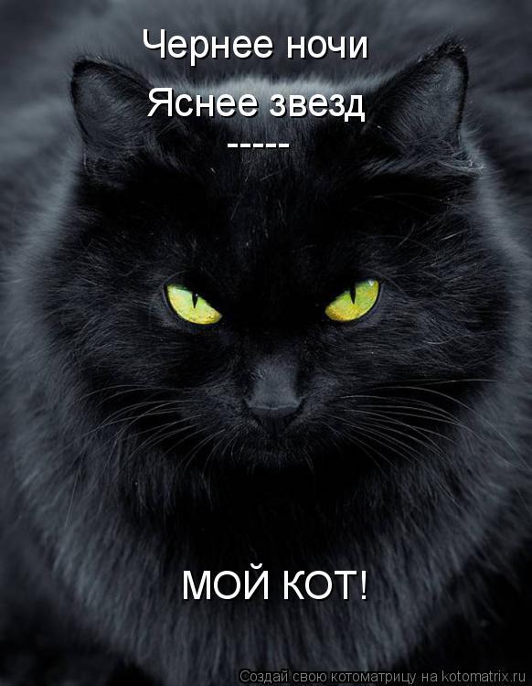 Котоматрица: Чернее ночи Яснее звезд ----- МОЙ КОТ!