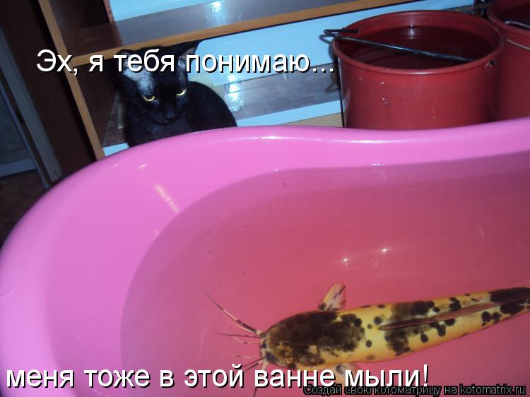 Котоматрица: Эх, я тебя понимаю... меня тоже в этой ванне мыли!