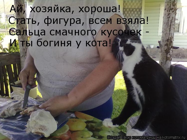 Котоматрица: Ай, хозяйка, хороша! Стать, фигура, всем взяла! Сальца смачного кусочек -  И ты богиня у кота!