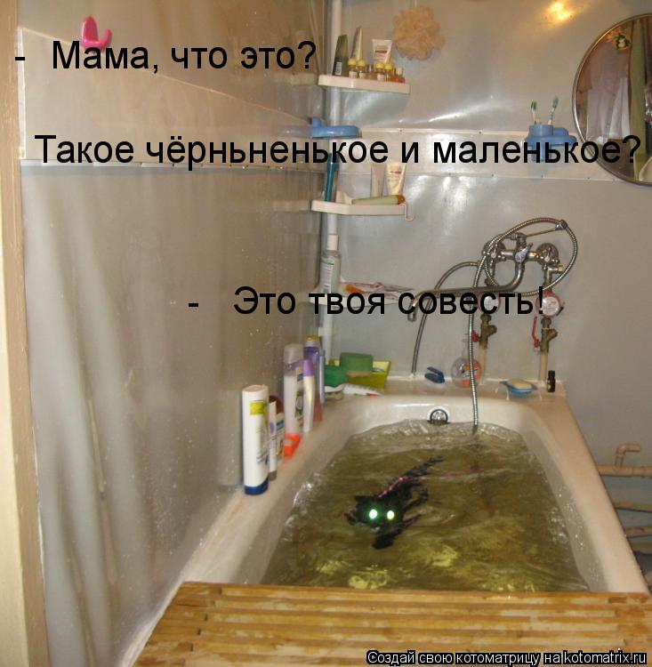 Котоматрица: Мама, что это? Такое чёрньненькое и маленькое? - - Это твоя совесть!