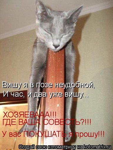 Котоматрица: Вишу я в позе неудобной, И час, и два уже вишу... ХОЗЯЕВААА!!! ГДЕ ВАША СОВЕСТЬ?!!! У вас ПОКУШАТЬ я прошу!!!