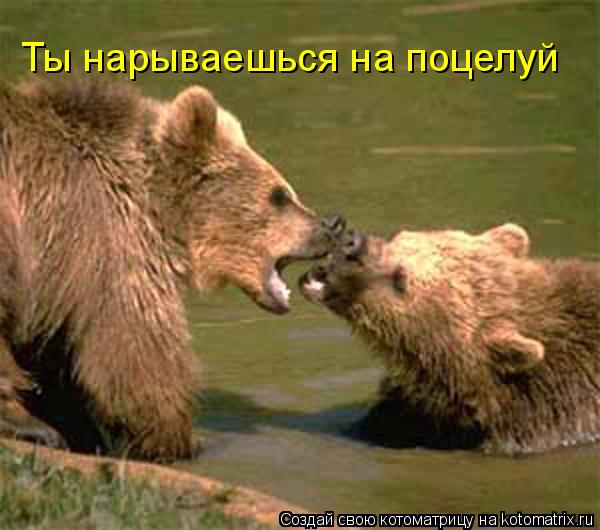 Котоматрица: Ты нарываешься на поцелуй