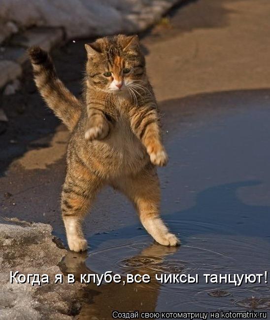 Котоматрица: Когда я в клубе,все чиксы танцуют!