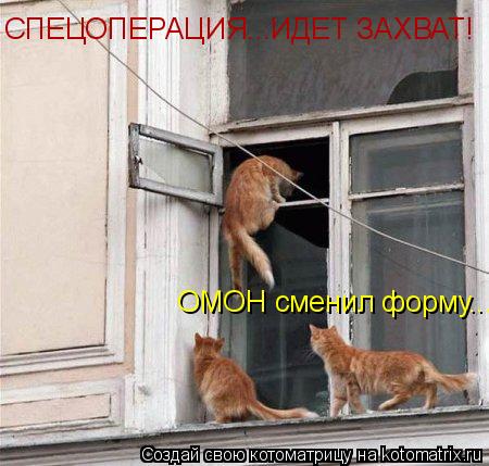 Котоматрица: СПЕЦОПЕРАЦИЯ...ИДЕТ ЗАХВАТ! ОМОН сменил форму...