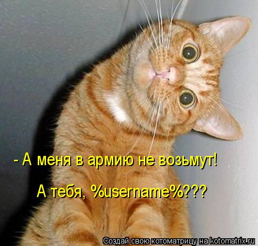 Котоматрица: А тебя, %username%??? - А меня в армию не возьмут!