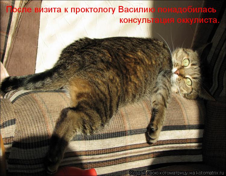 Котоматрица: После визита к проктологу Василию понадобилась консультация оккулиста.