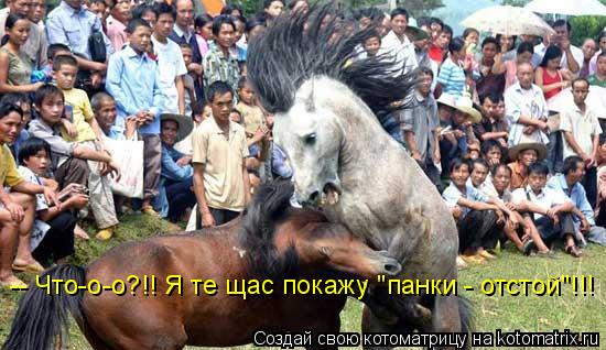 Котоматрица: -- Что-о-о?!! Я те щас покажу "панки - отстой"!!!