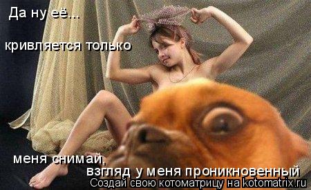Котоматрица: Да ну её... кривляется только меня снимай, взгляд у меня проникновенный