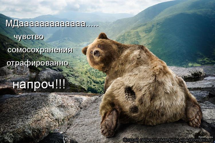 Котоматрица: МДааааааааааааа..... чувство  сомосохранения отрафированно напроч!!!