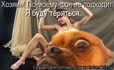 Котоматрица: Хозяин! По-моему фон не подходит! Я буду теряться.
