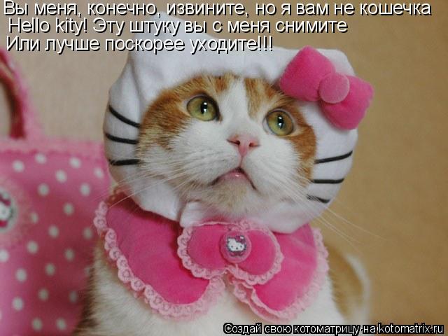 Котоматрица: Вы меня, конечно, извините, но я вам не кошечка Hello kity! Эту штуку вы с меня снимите Или лучше поскорее уходите!!!