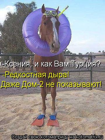 Котоматрица: -Ксения, и как Вам Турция? -Редкостная дыра!  Даже Дом-2 не показывают!