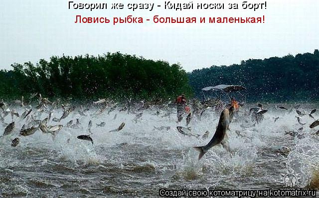 Котоматрица: Говорил же сразу - Кидай носки за борт! Ловись рыбка - большая и маленькая!