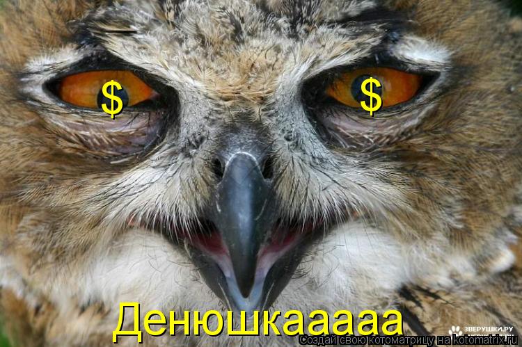 Котоматрица: $ $ Денюшкааааа