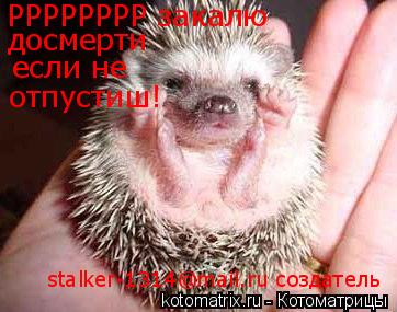 Котоматрица: РРРРРРРР закалю  досмерти если не отпустиш! stalker-1314@mail.ru создатель