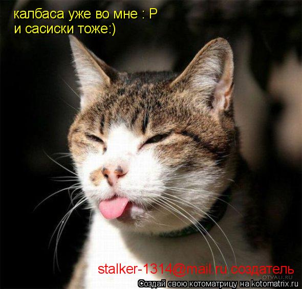 Котоматрица: калбаса уже во мне : Р и сасиски тоже:) stalker-1314@mail.ru создатель