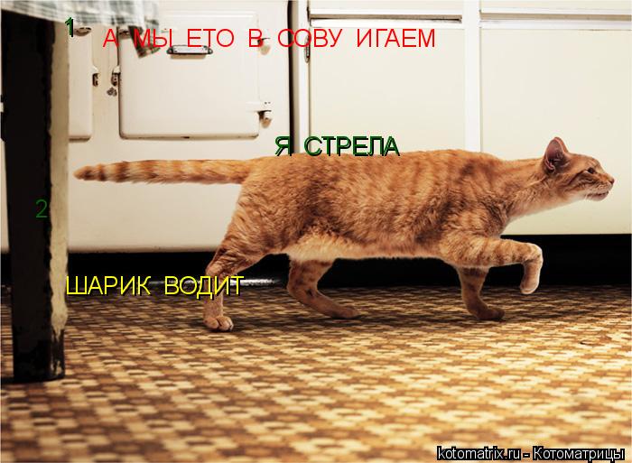 Котоматрица: А  МЫ  ЕТО  В  СОВУ  ИГАЕМ ШАРИК  ВОДИТ   Я  СТРЕЛА 1 2