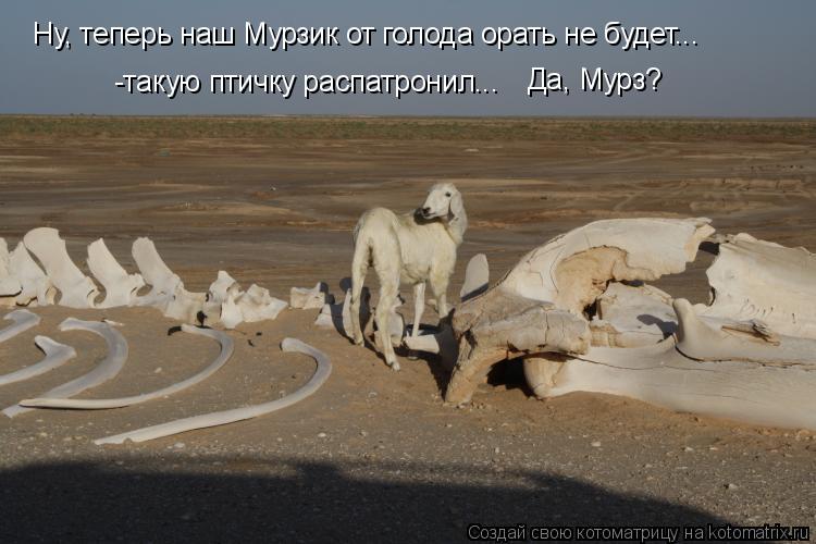 Котоматрица: -такую птичку распатронил... Да, Мурз? Ну, теперь наш Мурзик от голода орать не будет...