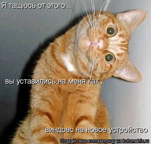 Котоматрица: Я тащюсь от этого... вы уставились на меня как... виндовс на новое устройство